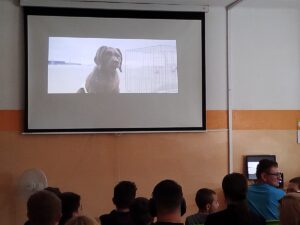 Szkolne Kino